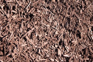 brown_mulch